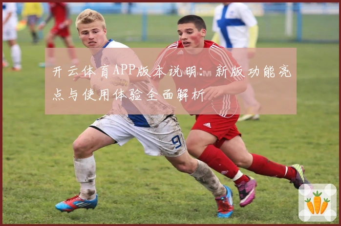 开云体育APP版本说明:新版功能亮点与使用体验全面解析